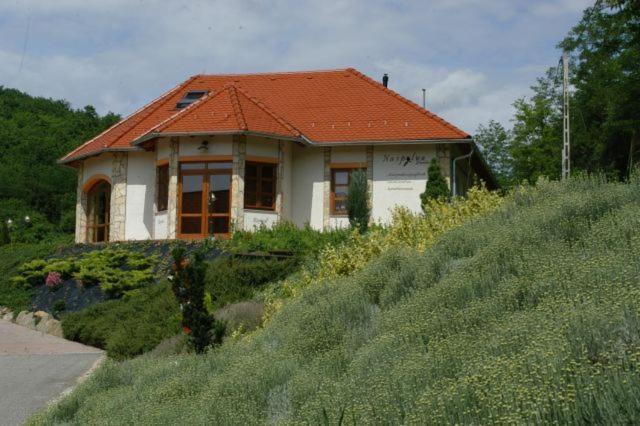 Naspolya Panzio Es Etterem Panzió Bátaapáti Kültér fotó